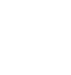 NSM-footer-logo-white-90x96@2x